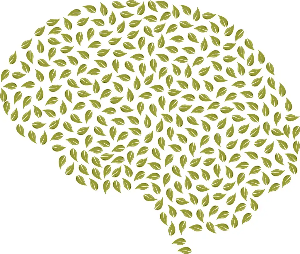 brain - Plant Habits for Better Mental Health